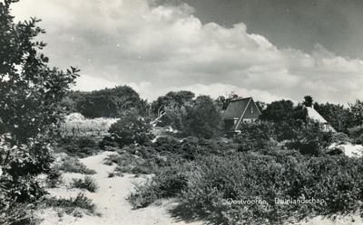 PB5897 Foto vanuit het Kaapduin naar de Zeeweg. Het huis met de gevelbetimmering is Zeeweg 46 en heet De Manteling, ca. 1958