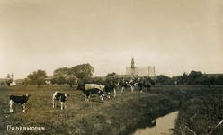 PB7016 Beeld van agrarisch Oudenhoorn met koeien, de kerk een de pastorie, ±1935