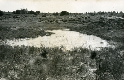 PB7185 Meertje in de duinen, ca. 1930