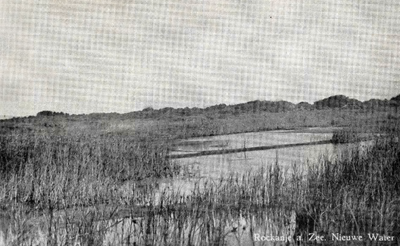 PB7186 Meertje in de duinen (nieuwe water), ca. 1930