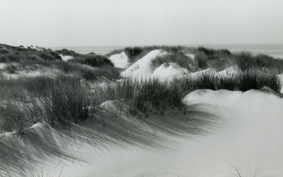PB7195 De duinen bij Rockanje, ca. 1960
