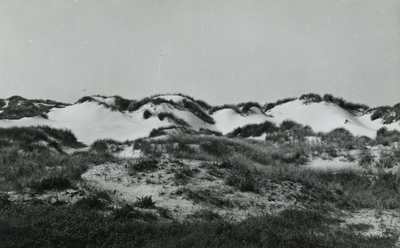 PB7197 De duinen van Rockanje, ca. 1960