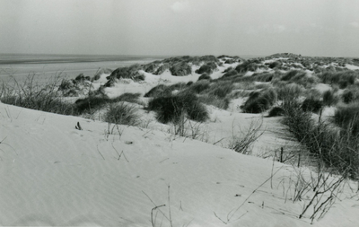 PB7198 De duinen van Rockanje, ca. 1960