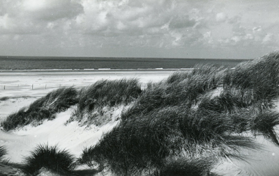 PB7201 De duinen bij Rockanje, ca. 1950