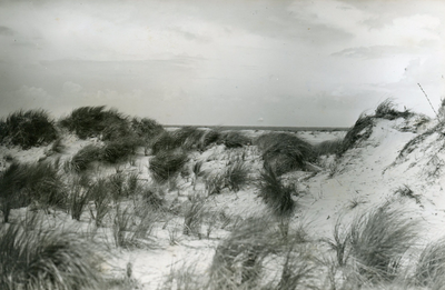 PB7207 De duinen van Voorne, ca. 1950