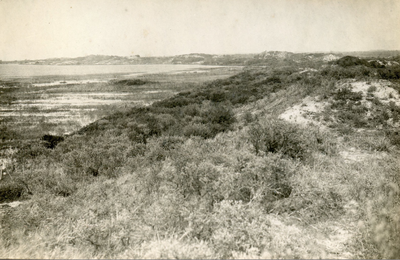 PB7244 De duinen van Rockanje, ca. 1936
