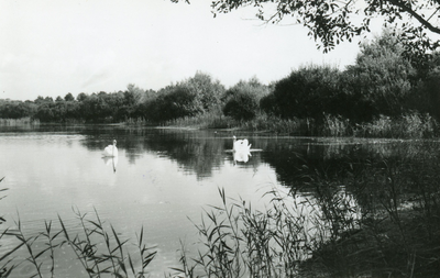PB7253 Natuurgebied en broedkolonie Het Brede Water, 1956
