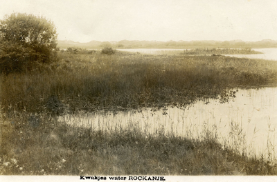 PB7264 Natuurgebied het Quackjeswater, ca. 1920