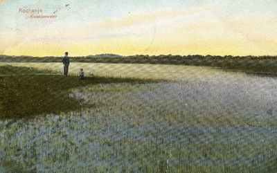 PB7265 Natuurgebied het Quackjeswater, ca. 1909