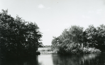 PB7273 Natuurgebied het Quackjeswater, ca. 1935