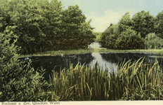 PB7275 Natuurgebied het Quackjeswater, ca. 1950