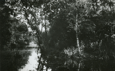 PB7281 Natuurgebied het Quackjeswater, ca. 1950