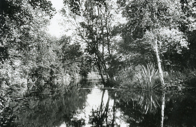 PB7283 Natuurgebied het Quackjeswater, ca. 1948