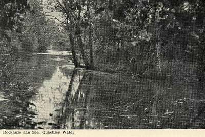 PB7284 Natuurgebied het Quackjeswater, ca. 1935