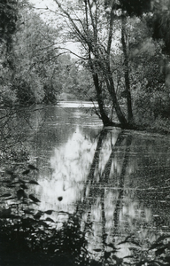 PB7285 Natuurgebied het Quackjeswater, ca. 1950