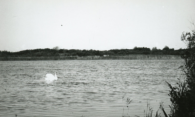 PB7290 Natuurgebied het Quackjeswater, ca. 1950