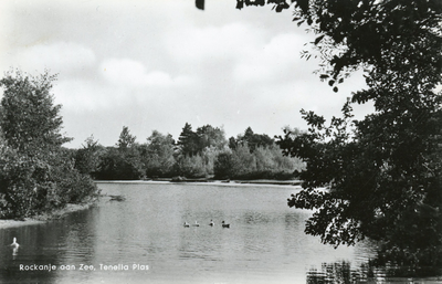 PB7296 Natuurgebied Tenellaplas, ca. 1950