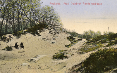 PB7332 Duin nabij het Rondeweibos, ca. 1927