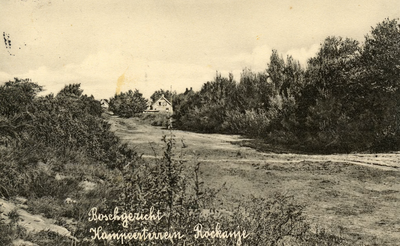 PB7353 Bosgezicht, kampeerterrein, ca. 1932