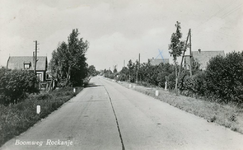 PB7558 Kijkje op de Boomweg, ca. 1950