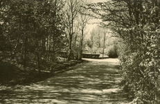 PB7763 Weg door de duinen, ca. 1930