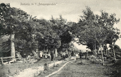 PB7790 Kijkje in het Schapengorsduin, ca. 1909