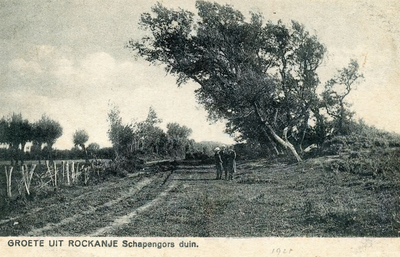 PB7797 Kijkje in het Schapengorsduin, ca. 1922