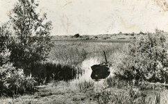 PB7810 Zicht op het Quackjeswater en roeiboot, ca. 1950