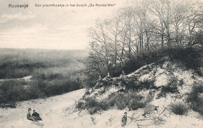 PB7849 Een prachthoekje in het bos De Rondewei, ca. 1915