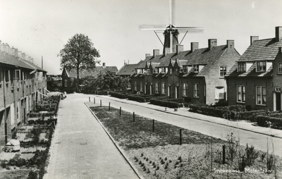 PB8951 Woningen langs de Molenlaan, ca. 1954