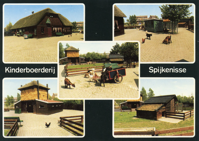 PB9115 Kinderboerderij De Trotse Pauw, 1983