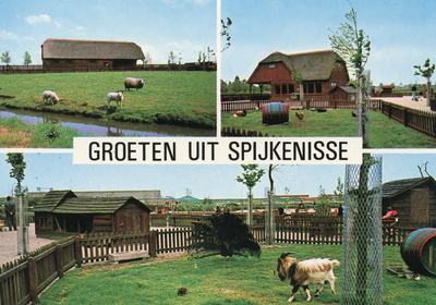 PB9116 Groeten uit Spijkenisse - Kinderboerderij De Trotse Pauw, 1983