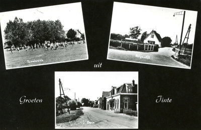 PB9531 Groeten uit Tinte, kaart met drie kleine afbeeldingen, ca. 1965