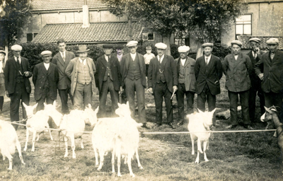 PB9534 Keuring van de geiten van de geitenfokvereniging. Van links naar rechts: Arnoud Klok Cz., Kees Man In 't Veld, ...