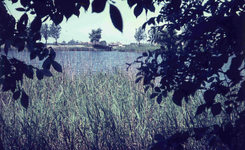 DIA02007 Kijkje op de Langevest en de brug van de Langesingel; ca. 1971