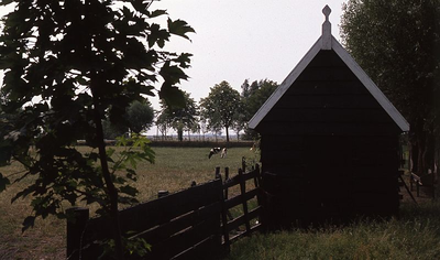 DIA15096 Weiland met schuur en koeien naast de kerk; ca. 1976