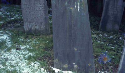 DIA15368 Grafstenen op de Joodse begraafplaats (1781) langs de Spuikade; 29 oktober 1983