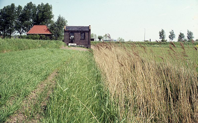 DIA16102 Kijkje op de Oud Hoenderhoeksedijk richting het vroegere gemaal van de polder Nieuw-Hoenderhoek.; ca. 1976