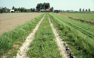 DIA16103 Kijkje op de Oud Hoenderhoeksedijk richting het vroegere gemaal van de polder Nieuw-Hoenderhoek.; ca. 1976