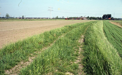 DIA16106 Kijkje op de Oud Hoenderhoeksedijk richting het vroegere gemaal van de polder Nieuw-Hoenderhoek.; ca. 1976