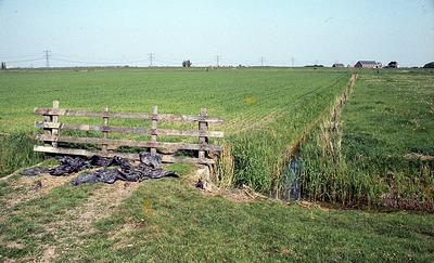 DIA16111 Uitzicht langs de Oud Hoenderhoeksedijk; ca. 1976