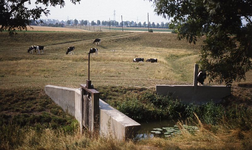 DIA16129 Schuifstuw in de verbinding tussen de Bernisse en de haven van Geervliet langs de Toldijk; ca. 1976