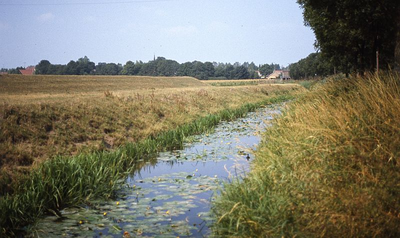 DIA16130 De verbinding tussen de Bernisse en de haven van Geervliet langs de Toldijk. Links polder Oud Guldeland; ca. 1976