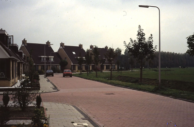 DIA18083 Woningen aan de Groede in Hekelingen; ca. 1999