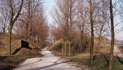 DIA20230 Wandelpad op de Kustbatterij; ca. 1983