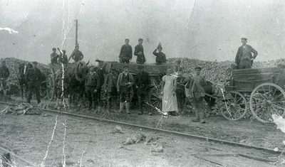DIA30191 Arbeiders en boeren tijdens de bietencampagne; ca. 1920