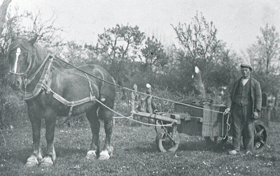 DIA30237 Een boer heeft zijn paard voor een landbouwwerktuig gespannen; ca. 1935