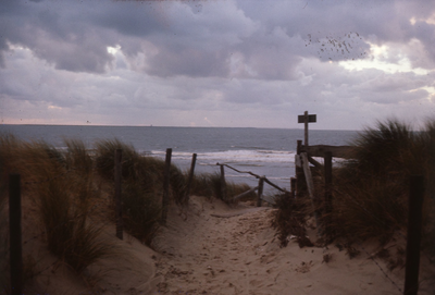 DIA30459 Pad richting het strand; ca. 1980