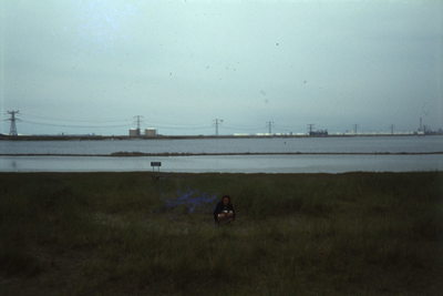 DIA30462 Kijkje op de industrie op de Europoort en Maasvlakte; ca. 1980