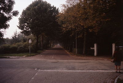 DIA30473 Kijkje op het toegangshek naar de vroegere Villa Oosterhout op de hoek van de Duinlaan en de Van Itersonlaan; ...